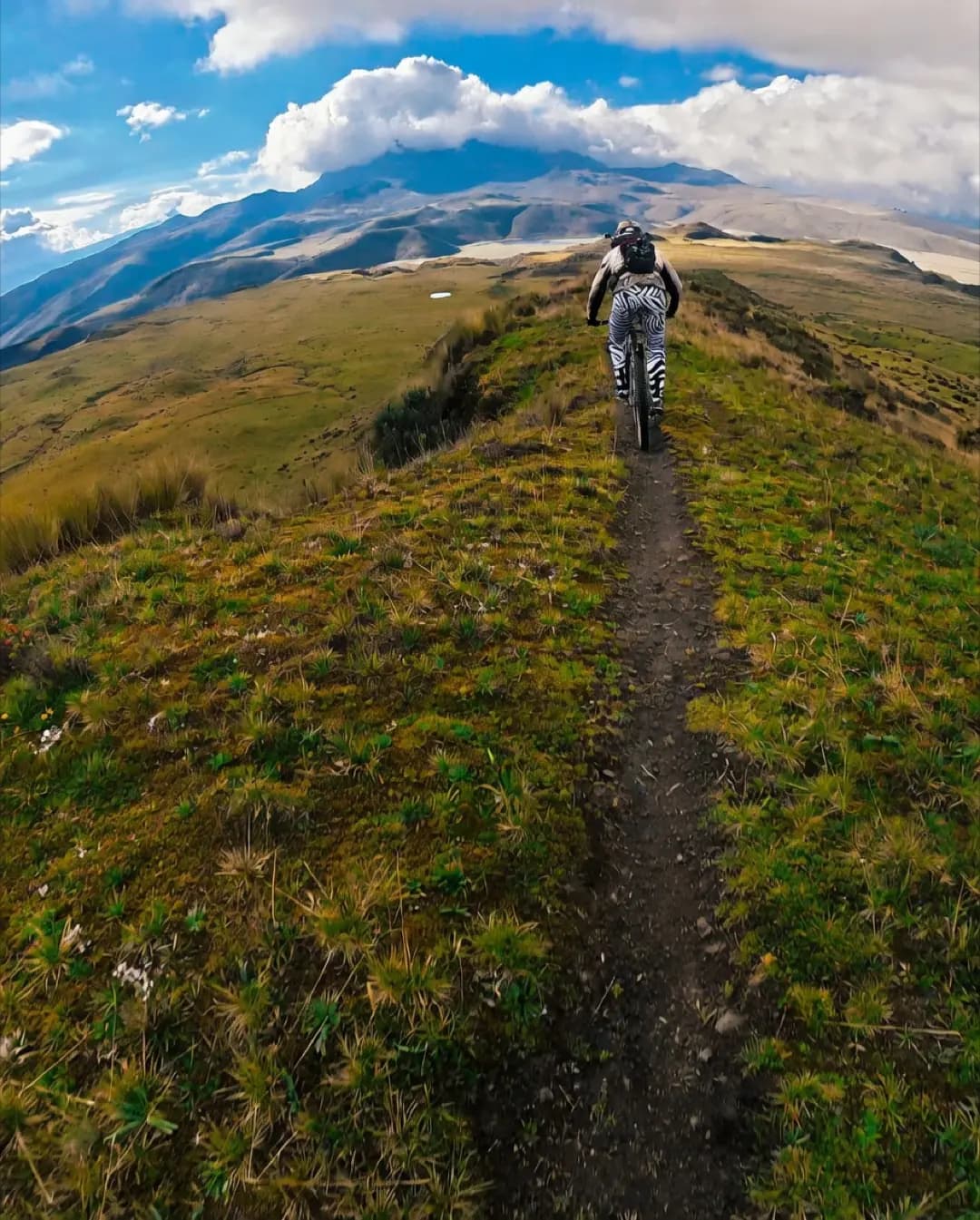 Built for riders who read terrain
